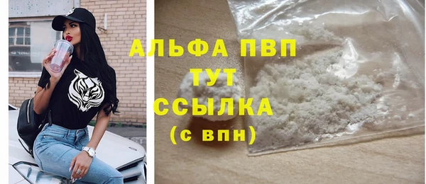 PSILOCYBIN Лабытнанги