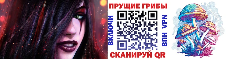Галлюциногенные грибы Psilocybine cubensis  где можно купить наркотик  Кудымкар 